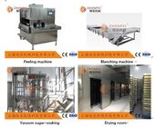Complete Automatic Dried Fruit Production Line Dried Kiwi Production Line